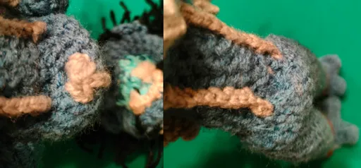 An image showing the chest cavity and the pelvic cavity